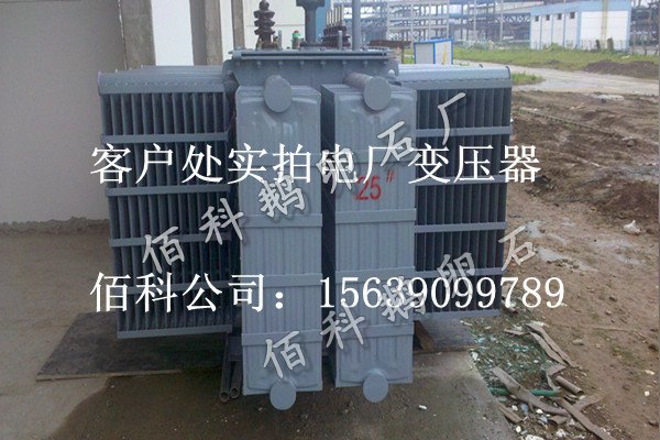 客戶想要購(gòu)買(mǎi)齊全的水處理鵝卵石到哪里去？