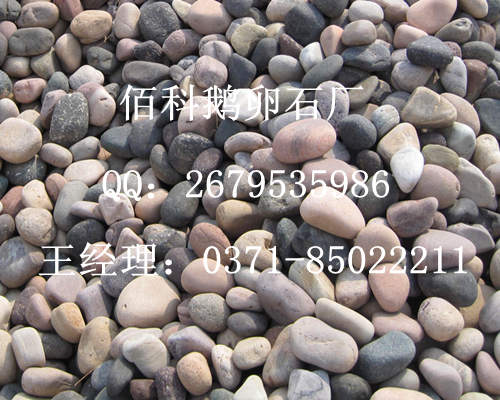購買鋪路鵝卵石在哪里能買到？